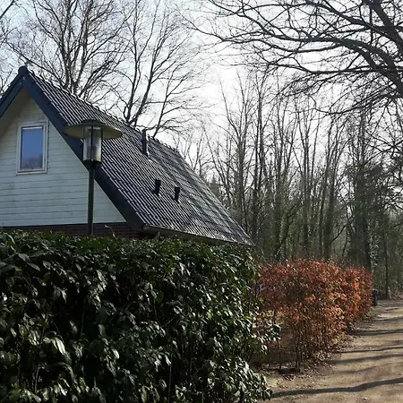Boslust - De Veluwe *