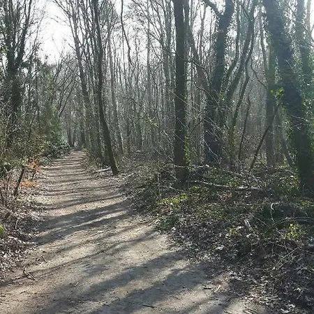 Boslust - De Veluwe