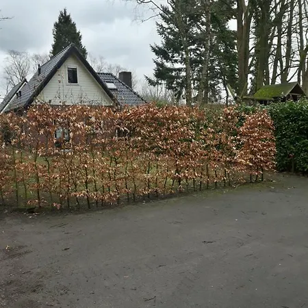 Boslust - De Veluwe