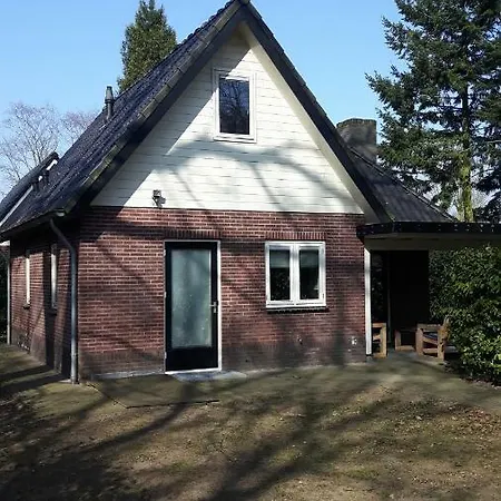 Boslust - De Veluwe *