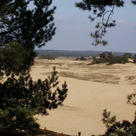 Boslust - De Veluwe