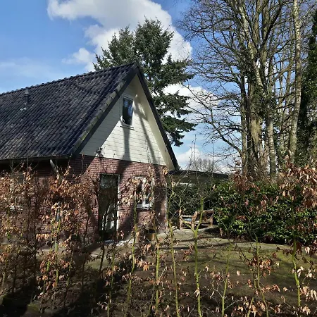 Boslust - De Veluwe *